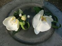 Corsage witte orchidee