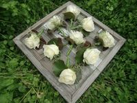 Corsage witte roos